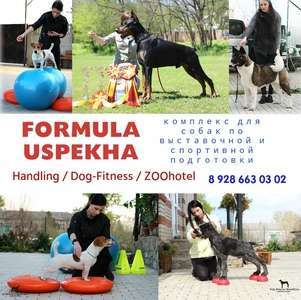 комплекс для собак "Формула Успеха"