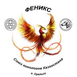 Центр кинологии и Фелинологии "Феникс"