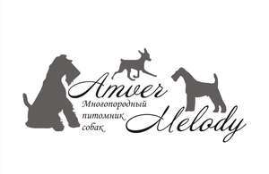 Амвер Мелоди