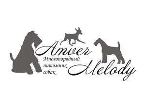 Амвер Мелоди