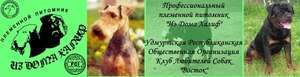 ИЗ ДОМА ХАЛИФ