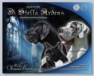 Di Stella Ardens