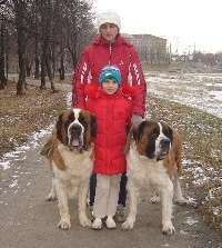 Альпен Гольд