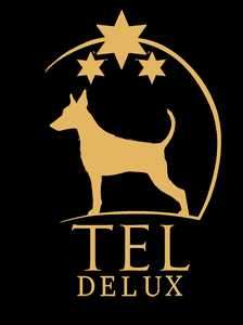 Тэл Делюкс /Tel Delux