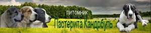 Пастерита Кандрбуль