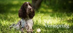 Veraspring