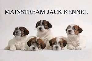 MAINSTREAM JACK