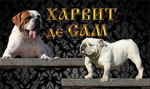 ХАРВИТ ДЕ САМ