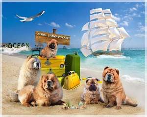 GRAND VOYAGE