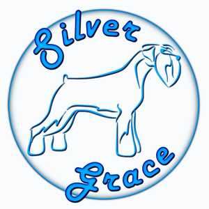 Silver Grace