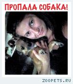 Собака 
