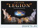 Клуб Любителей Кошек « LEGION»
