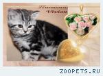 Британские мрамоные котята  из питомника VIVIAN.