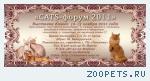 Выставка кошек «CATS-форум 2011» 12-13 ноября 2011 года