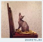 Найден сфинкс