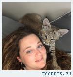 Продам котят Канадской и Европейской рыси.В хорошие руки