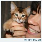 Самый ласковый котенок на свете