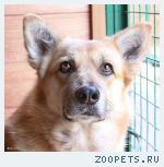 Солнышко в доме
